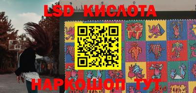 стаф Бузулук