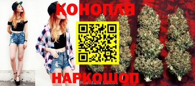 стаф Бузулук